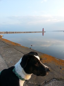 2013-07-03 20.49.37-1