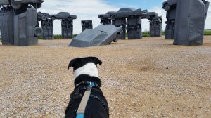 CarHenge
