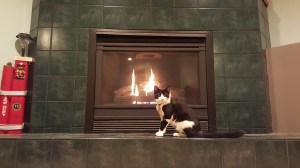 MelodyFireplace